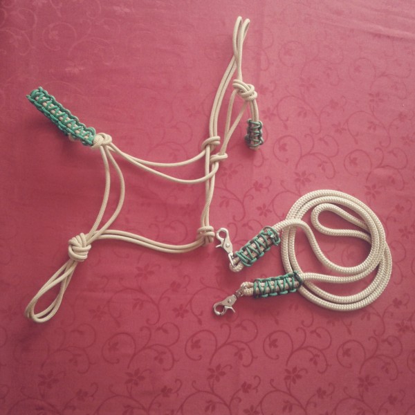 Photo de profil de equestrio.shop