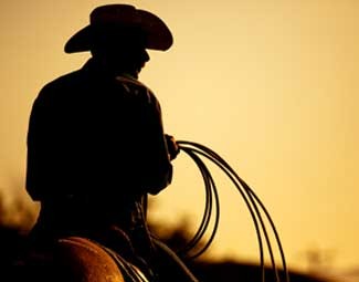 Photo de profil de equidz