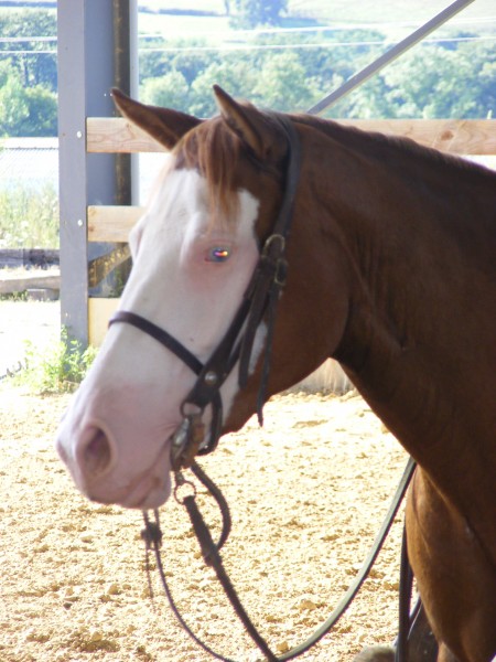 Photo de profil de equifred