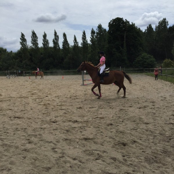 Photo de profil de equi.marie