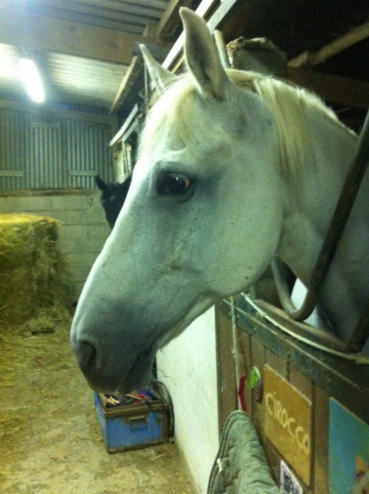 Photo de profil de equi.passion