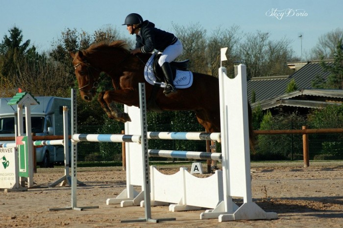 Photo de profil de equitadapte