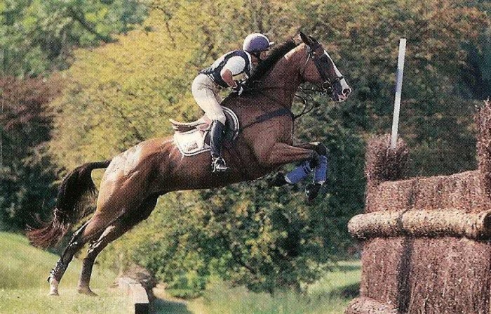 Photo de profil de equitafarouk