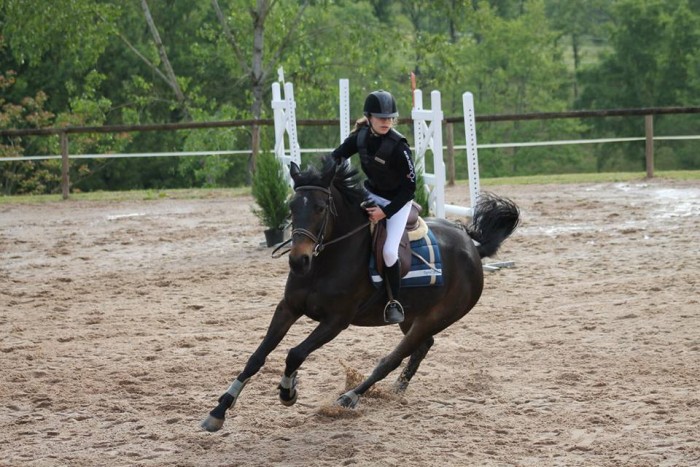 Photo de profil de equitation_24