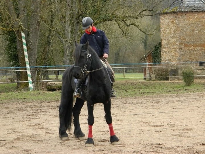 Photo de profil de equitation71