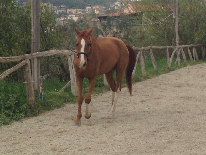 Photo de profil de evado