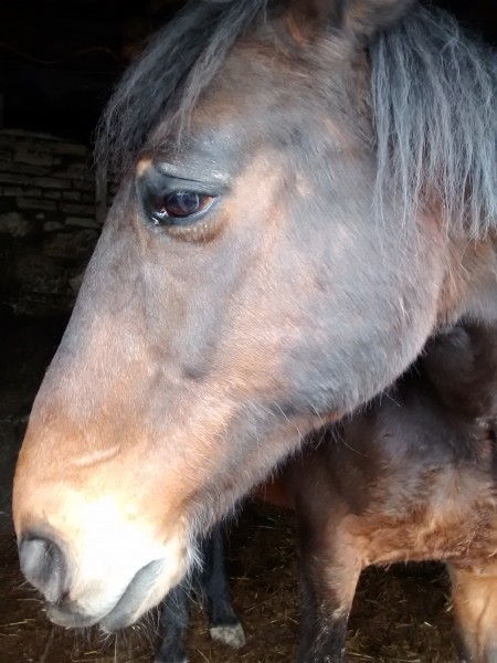 Photo de profil de evazion