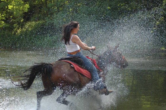 Photo de profil de fabyfalco