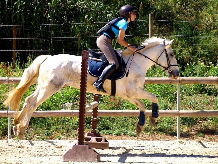 Photo de profil de fafou.06