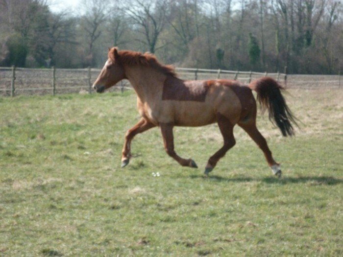 Photo de profil de fanfaronne