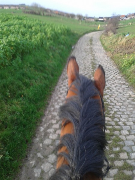 Photo de profil de fannybleu