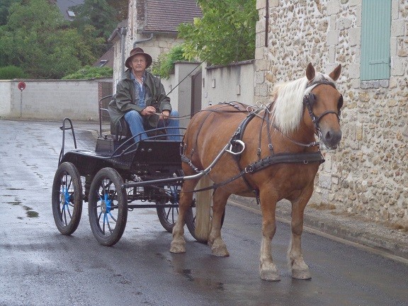 Photo de profil de farot