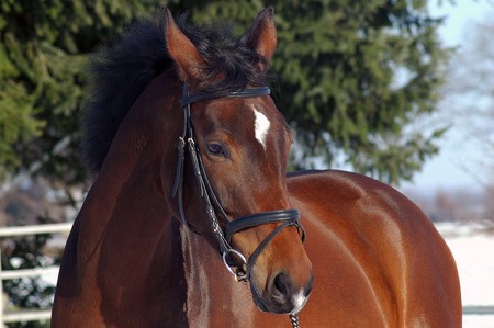 Photo de profil de fatyy