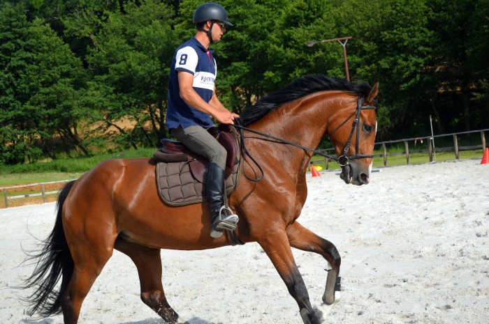 Photo de profil de fauconnie