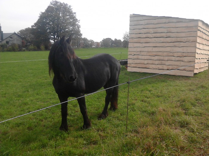 Photo de profil de fauve1207