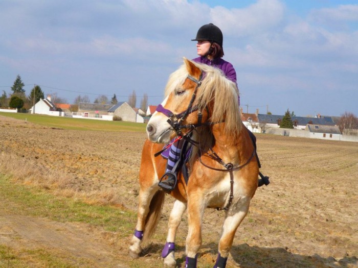 Photo de profil de favorit45