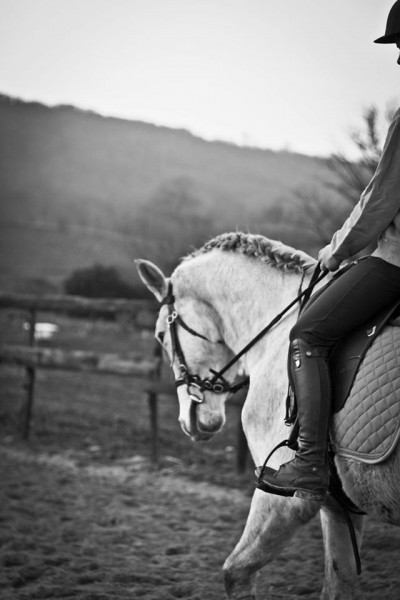 Photo de profil de femmedecheval