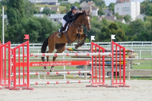 Photo de profil de fennko