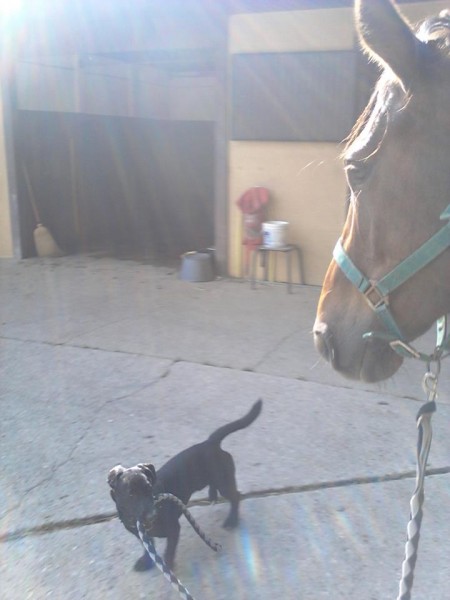 Photo de profil de filoulilou