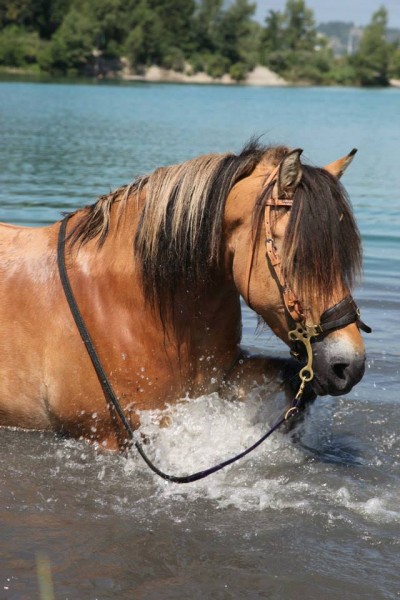 Photo de profil de finou73