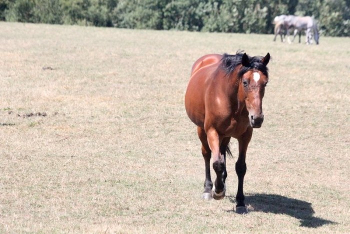 Photo de profil de fiona78450