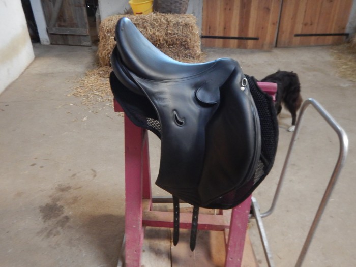 Photo de profil de fjaureg