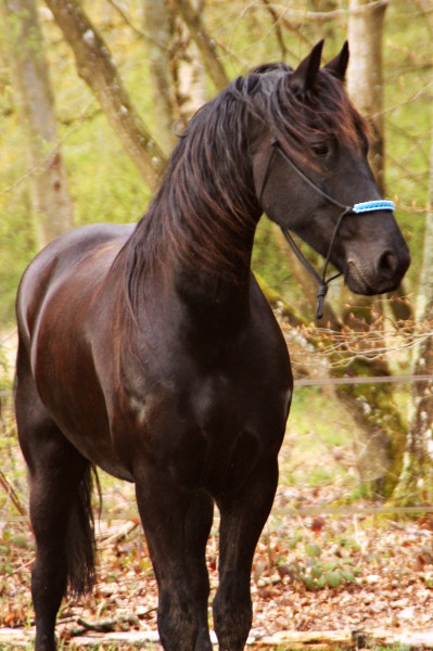 Photo de profil de fk.frisons