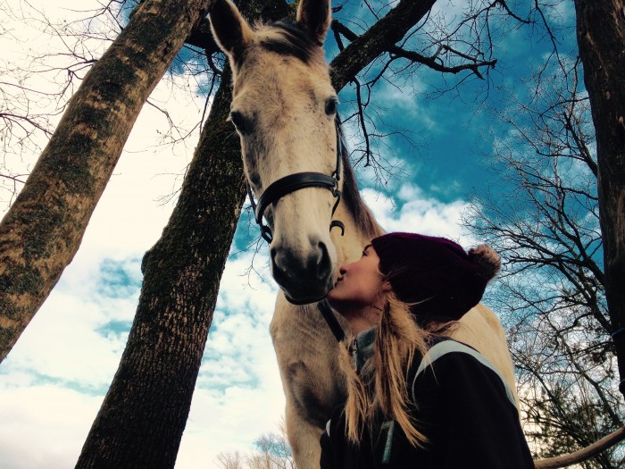 Photo de profil de flamhorse