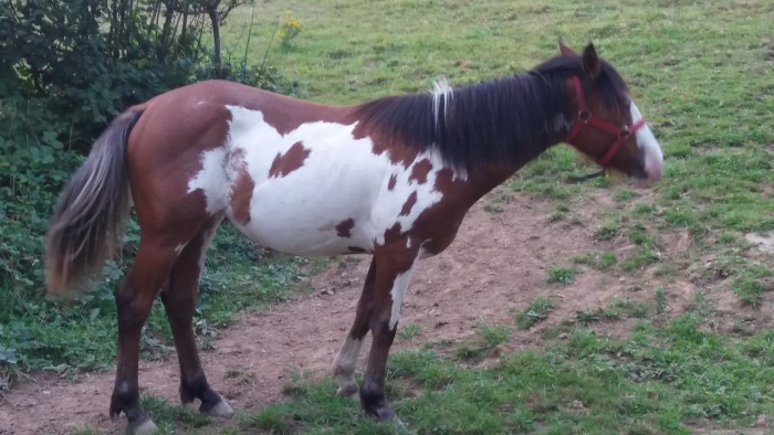 Photo de profil de flamme29