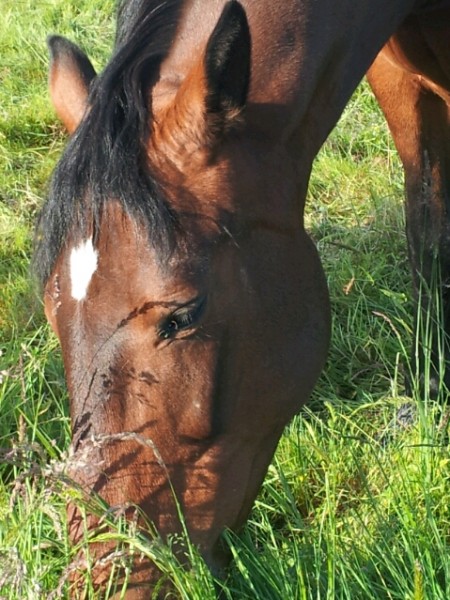 Photo de profil de flo1964