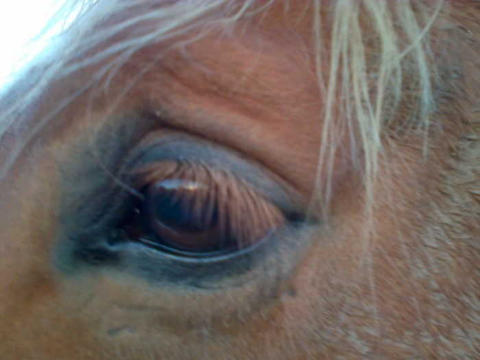Photo de profil de flodu37