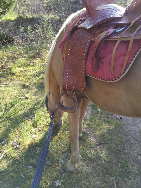 Photo de profil de floflo_co