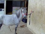 Photo de profil de flo_mgrd