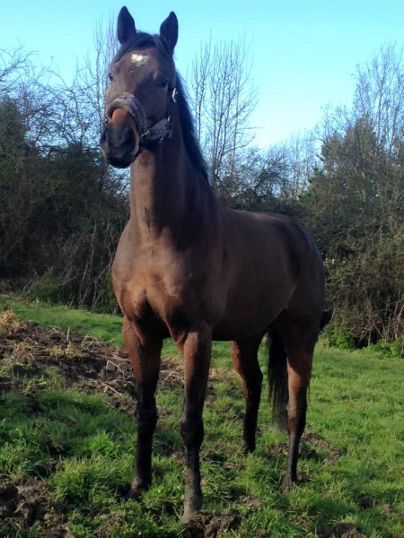 Photo de profil de flory