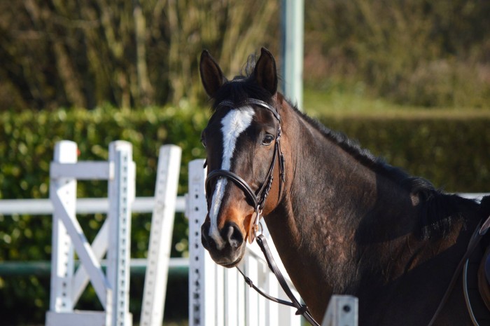 Photo de profil de f.nouba