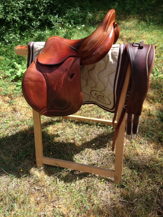 Photo de profil de furby