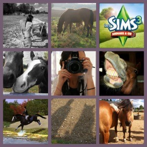 Photo de profil de gab.horses