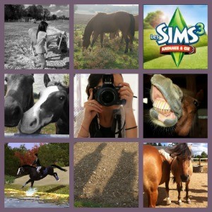 Photo de profil de gab.horses