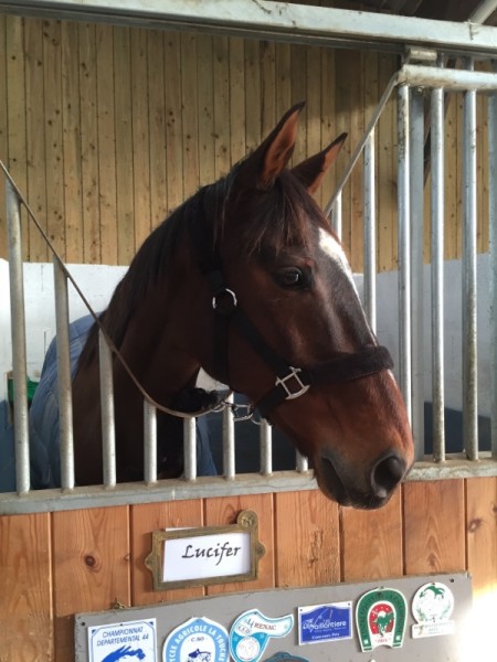 Photo de profil de gael.hamon33