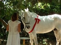 Photo de profil de gaillac