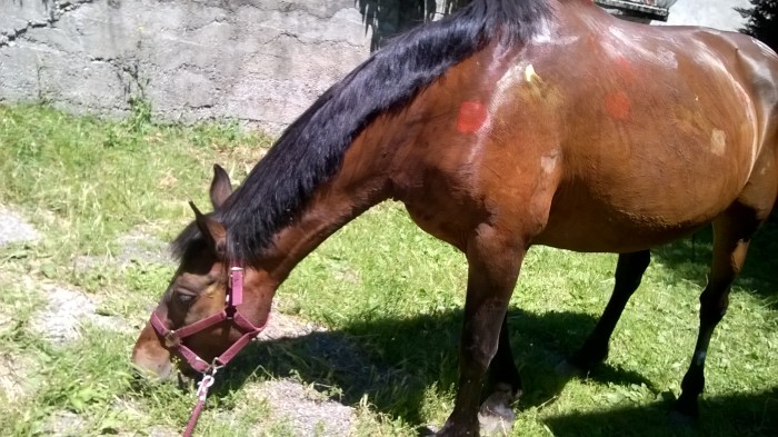 Photo de profil de galinette42