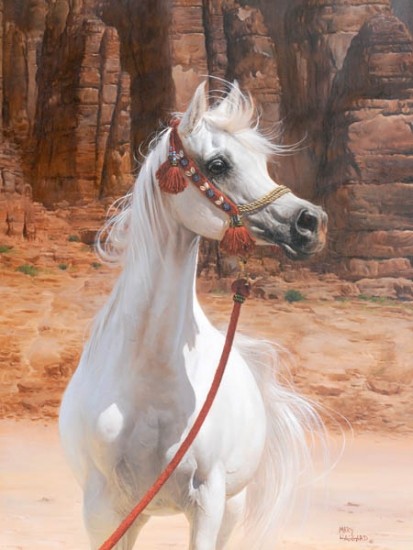 Photo de profil de gambi1965