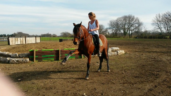 Photo de profil de garabato