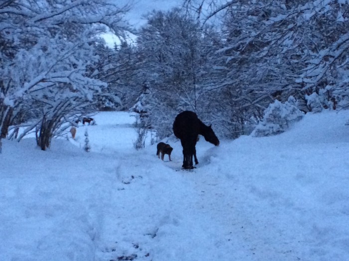 Photo de profil de gargan