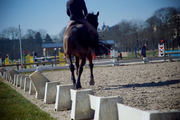 Photo de profil de gela78