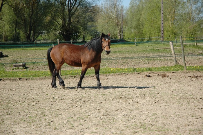 Photo de profil de gessy2gaia