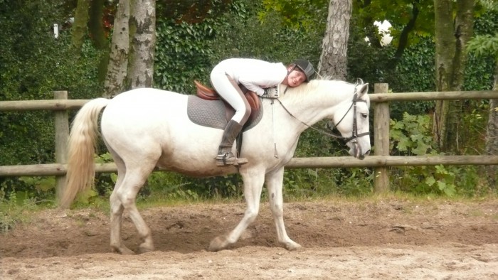 Photo de profil de gigijoe