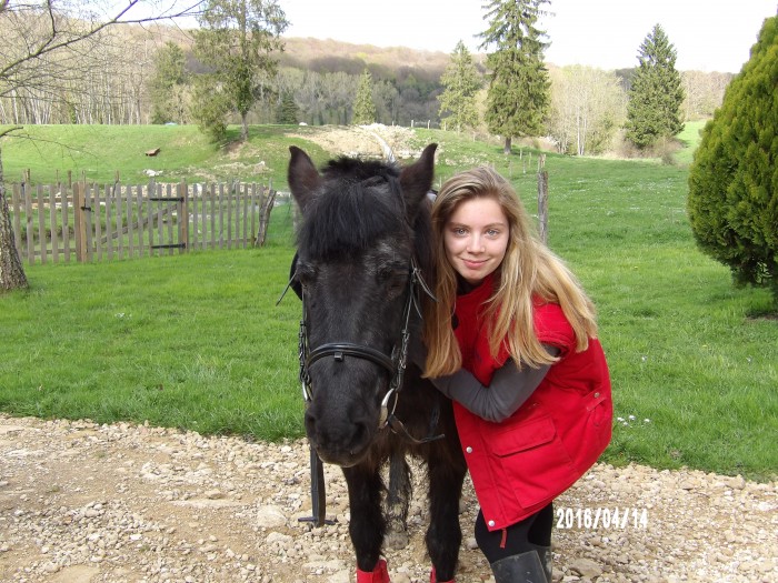 Photo de profil de globulehorses