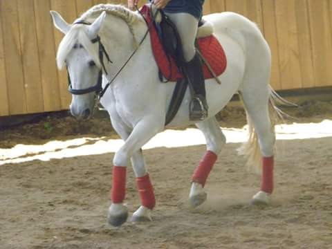 Photo de profil de gourmande41