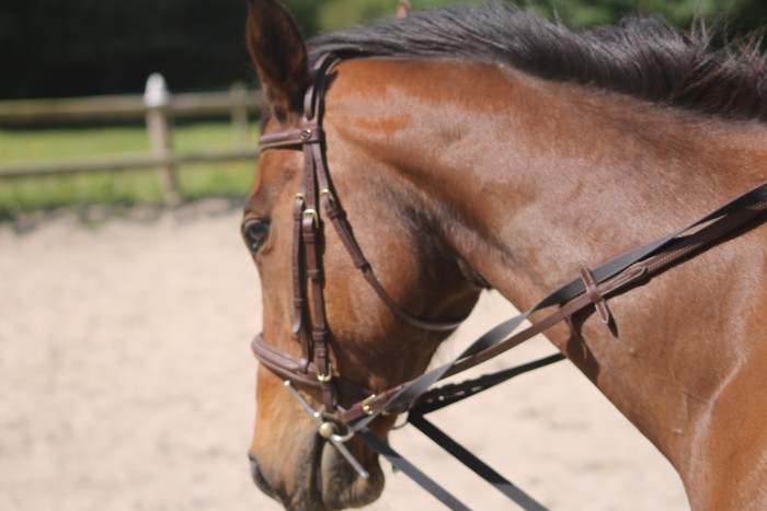 Photo de profil de grazzia